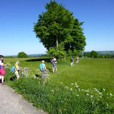 Venngasthof Zur Buche 3*