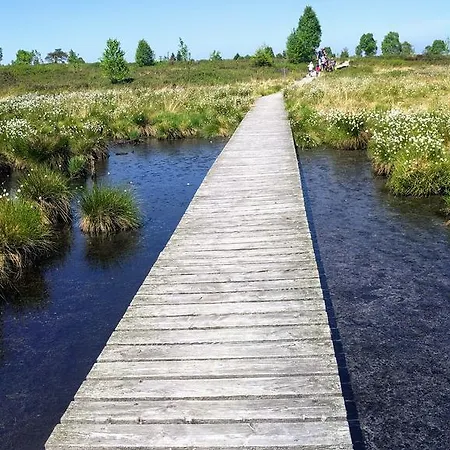 Hotel Venngasthof Zur Buche 3*