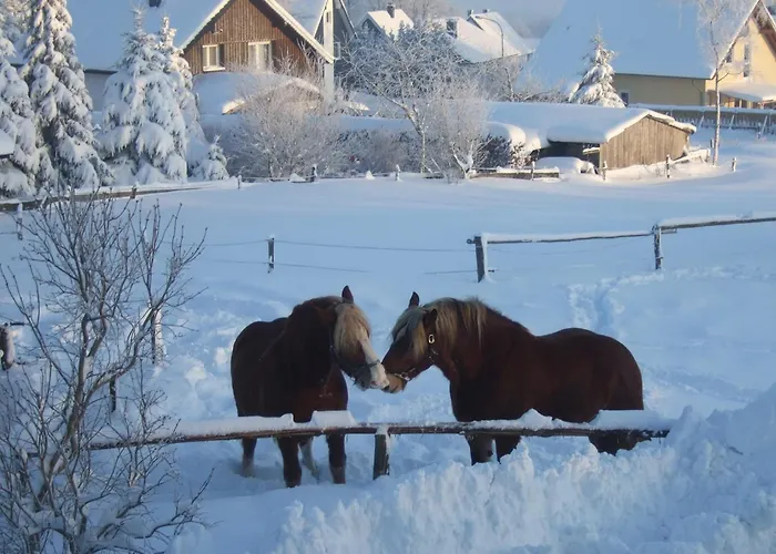 Venngasthof Zur Buche