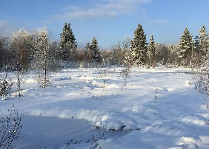 ホテル ヴェンガストフ ツァ ブッヘ