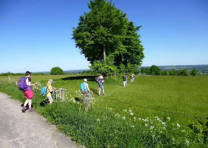 Venngasthof Zur Buche 3*